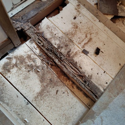 17416543612931-e1762989009783