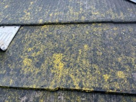 2025_06_11_10_49_23_203_15