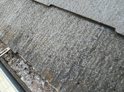 2025_10_31_13_10_24_580_241