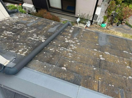 2025_10_31_13_10_24_901_30