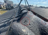 7966bae78213db11914ad7af893f8431