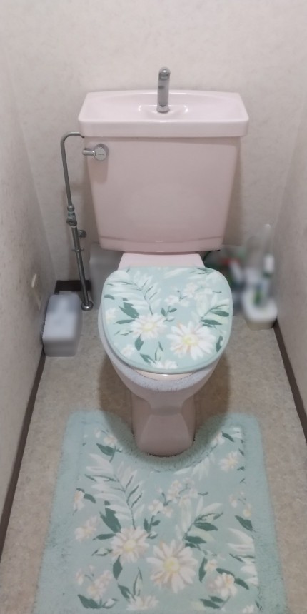 施工前の様子