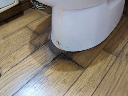 PXL_20230525_013849561 PXL_20230525_013849561