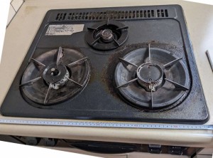 PXL_20230701_041032696 PXL_20230701_041032696