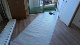 移動経路を養生します。