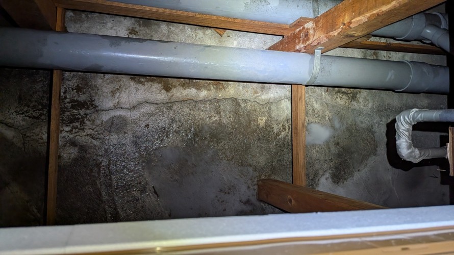 防除工事後の様子がこちら。 水たまりになっているのは薬剤です。