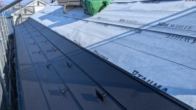 PXL_20260218_052348525 PXL_20260218_052348525