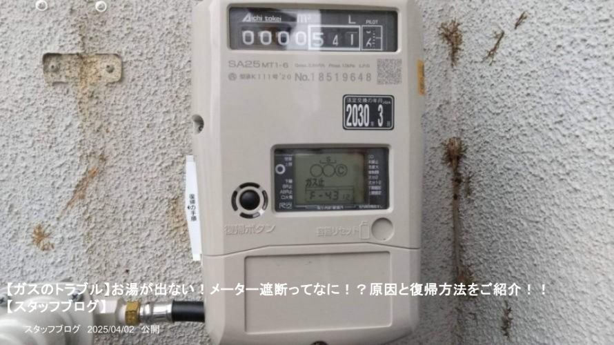 スタッフブログ