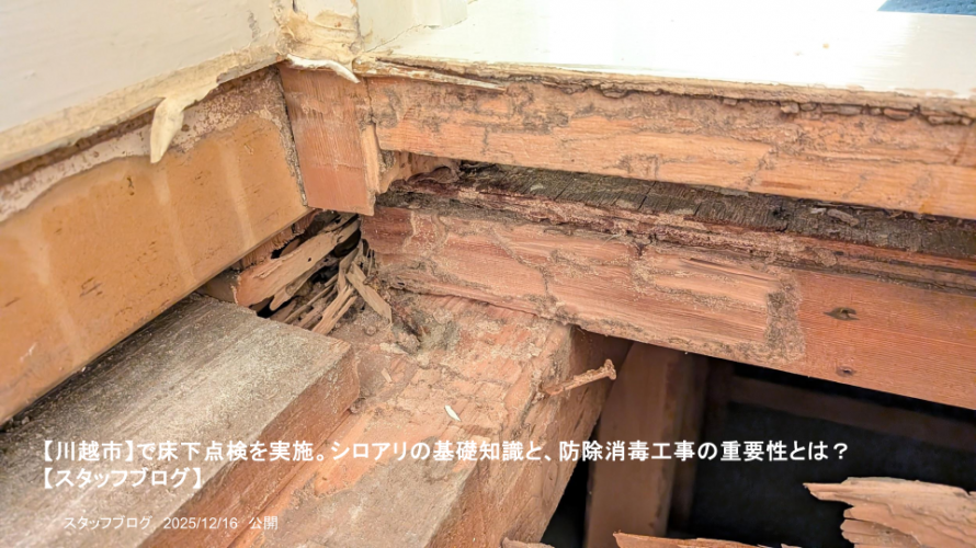 〇シロアリ被害のあった床下写真