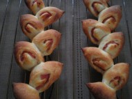 c7a788e4e1c47b3c0d2146699faa43ff1