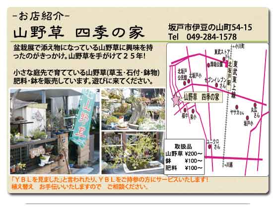 お店紹介　山野草 四季の家