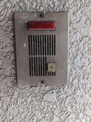 pxl_20240402_053914089 pxl_20240402_053914089